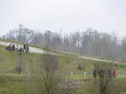 _IN_4363